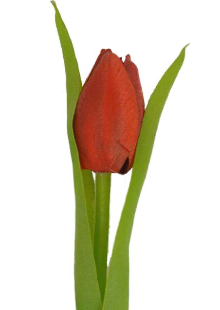 Artificial Silk Tulip Wedding Flower Sample