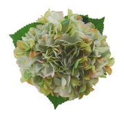 Bridesmaids Apple Green Silk Hydrangea Wedding Bouquet