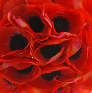 Bridesmaids Red Silk Anemone Wedding Posy Bouquet