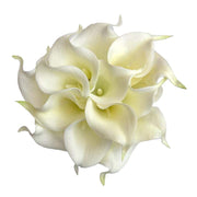 Bridesmaids Soft Touch Ivory Calla Lily Wedding Bouquet